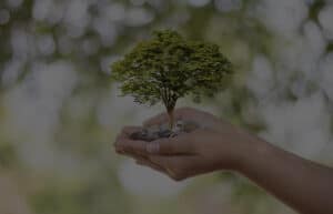 Sustainable Investing