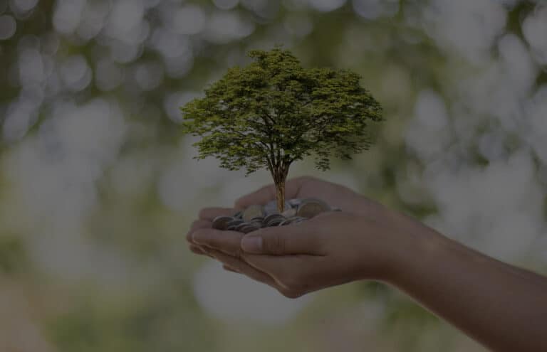 Sustainable Investing